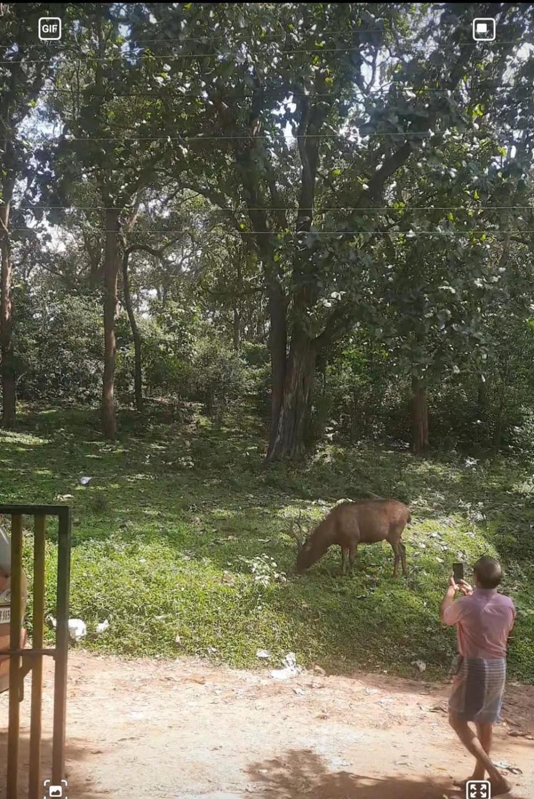 Wild Window - Forest View Homestay Thekkady Esterno foto