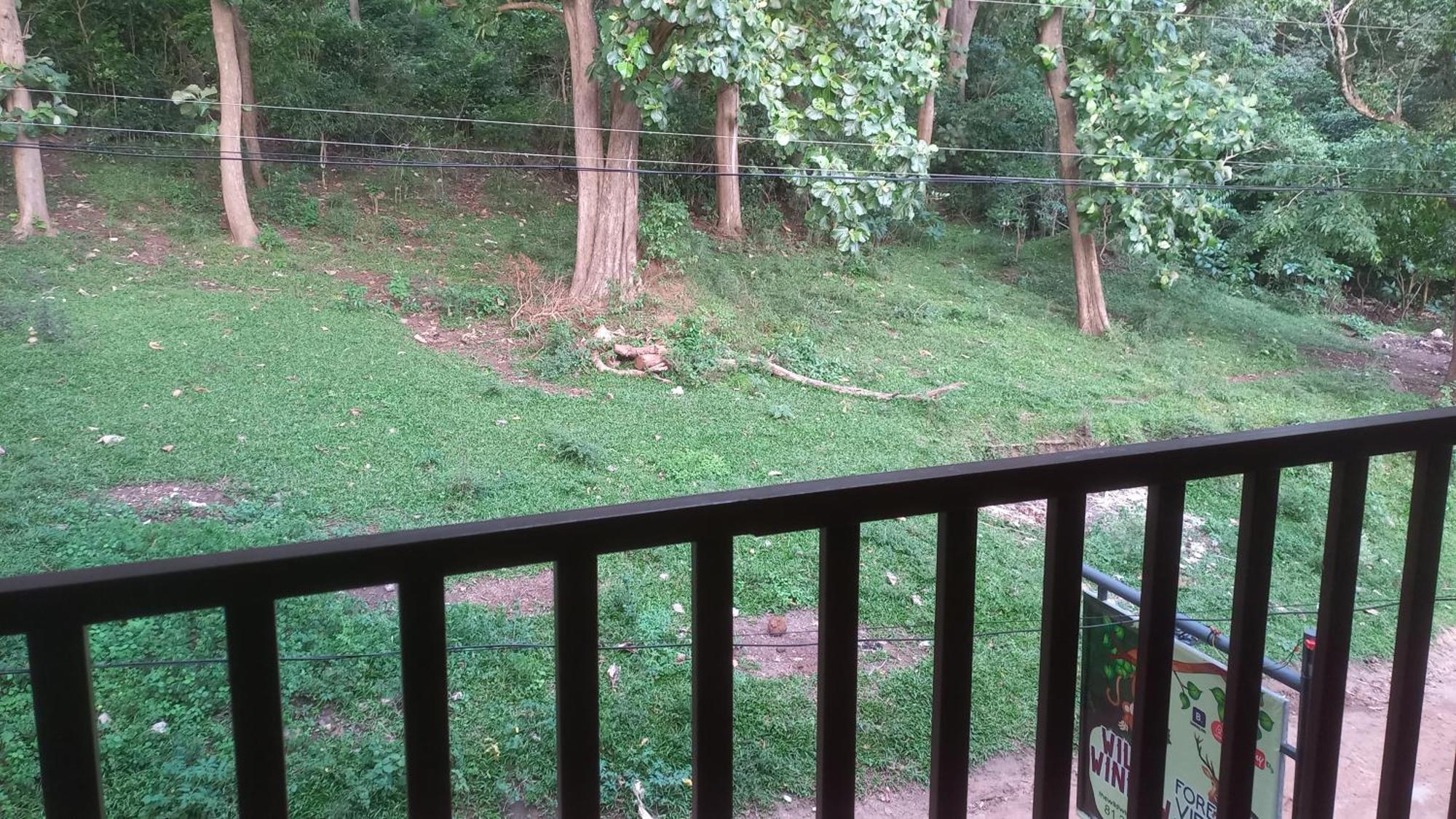 Wild Window - Forest View Homestay Thekkady Esterno foto
