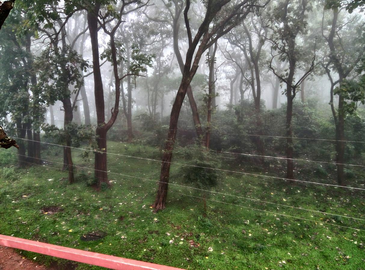 Wild Window - Forest View Homestay Thekkady Esterno foto