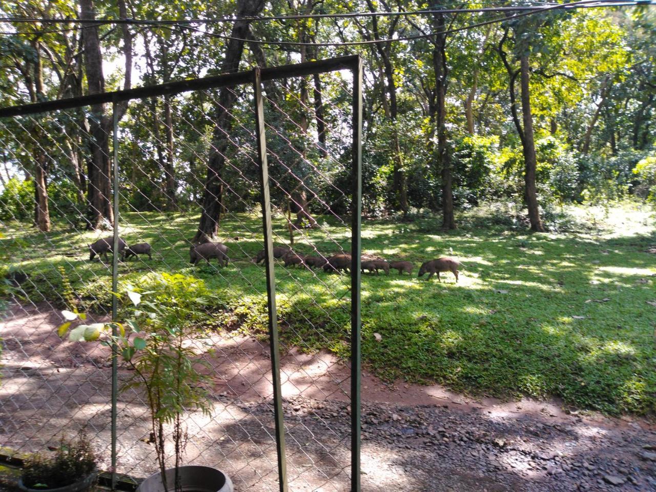 Wild Window - Forest View Homestay Thekkady Esterno foto