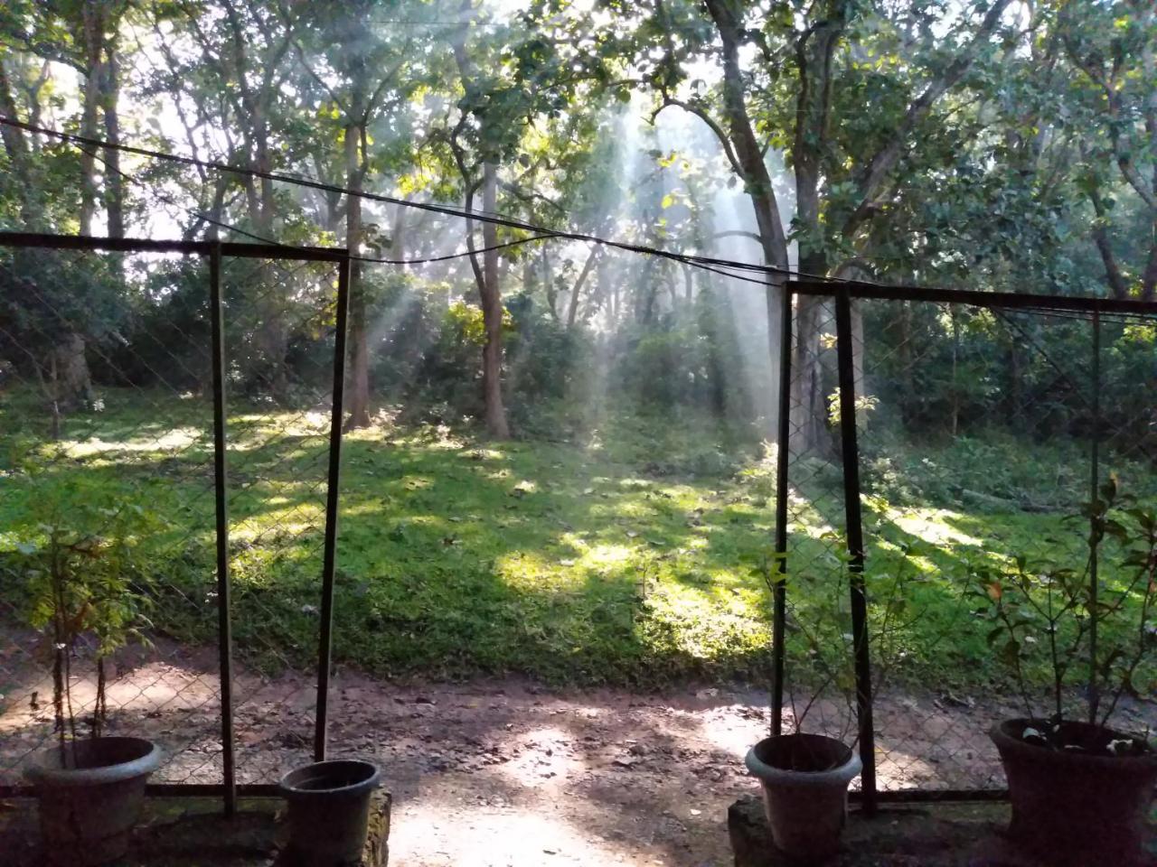Wild Window - Forest View Homestay Thekkady Esterno foto
