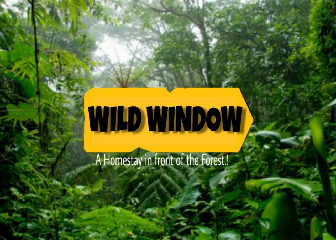 Wild Window - Forest View Homestay Thekkady Esterno foto
