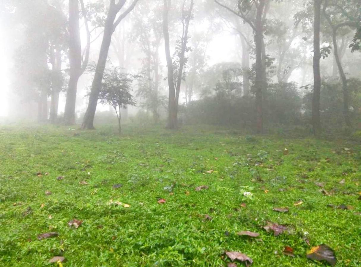 Wild Window - Forest View Homestay Thekkady Esterno foto